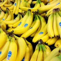 اولین محموله موز از پاکستان وارد خراسان جنوبی شد