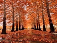 ارومیه در پاییزِ رنگارنگ