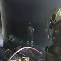 نجات 2 پرنده در جریان آتش‌سوزی یک پاساژ