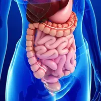 آیا بیماری های دستگاه گوارش می تواند زمینه ژنتیکی داشته باشد؟