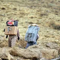 پدیده «کولبری» به مرزهای شرقی رسید؛ معاون صمت خراسان جنوبی تایید کرد