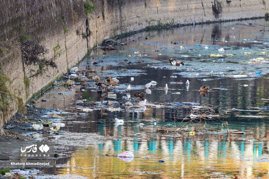 خزر در خطر !