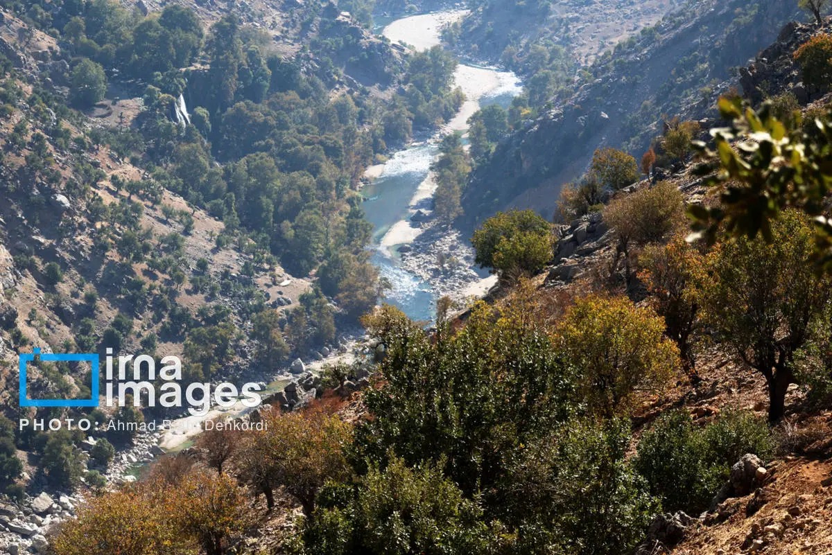  آبشار زردلیمه؛ سکوت پاییزی زاگرس