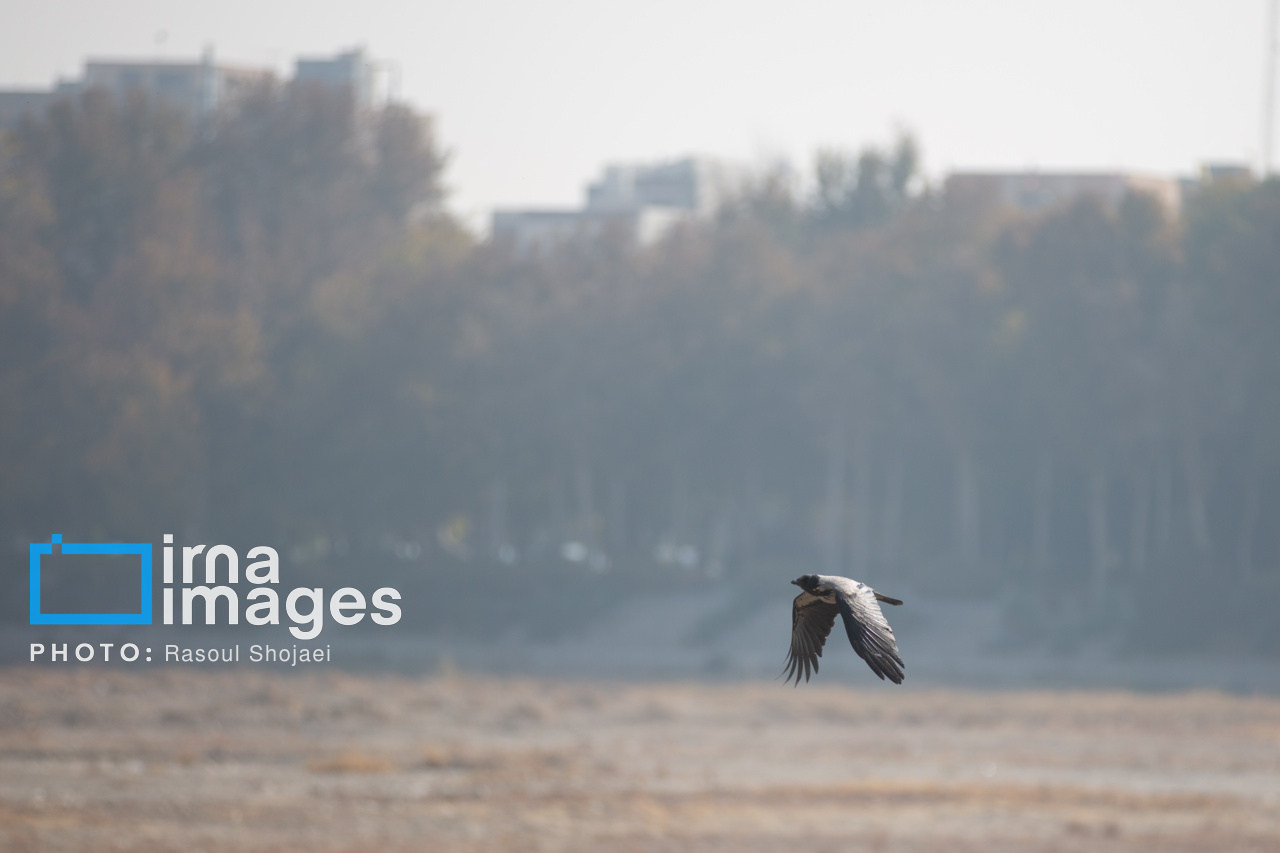 عکس/ آلودگی هوای اصفهان