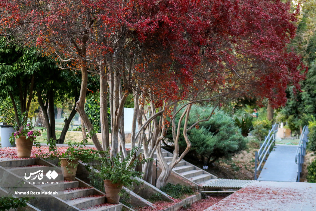 تصاویر دیدنی از باغ ارم شیراز