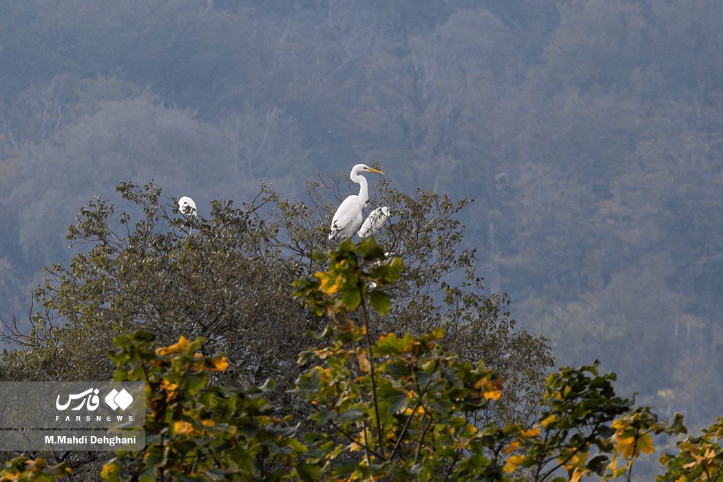 شهرک تفریحی نمک‌ آبرود