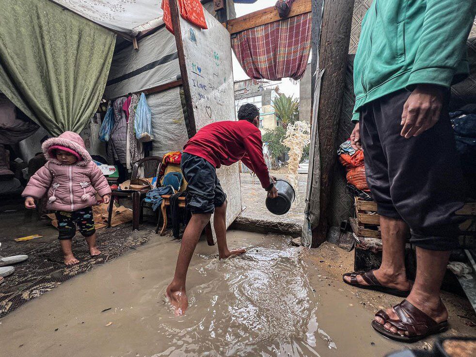 عکس/ دیدنی های امروز؛ از بوقلمون های روز شکرگزاری در کاخ سفید تا دردسر باران برای مردم غزه