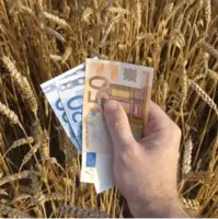 دلار ترجیحی کجا خرج میشود؟