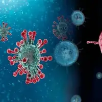 افزایش مراجعات بیمارستانی به دلیل عفونت‌های تنفسی