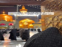 استوری/ تو که آخر گره رو وا میکنی امام رضا...