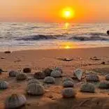 غروب زیبای ساحل سیراف 