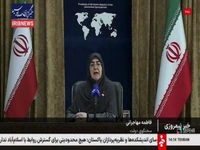 جزئیات تصمیم دولت درباره بنزین