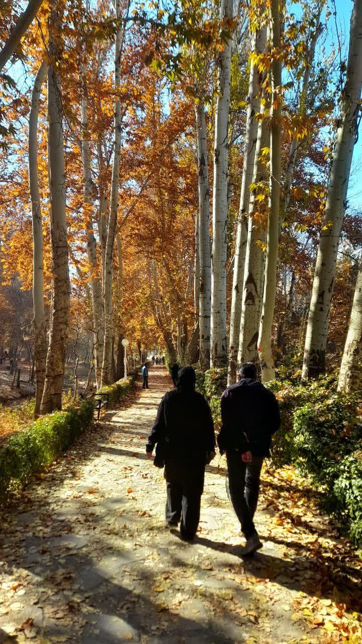  قشنگی های پاییز در باغ وکیل آباد مشهد  