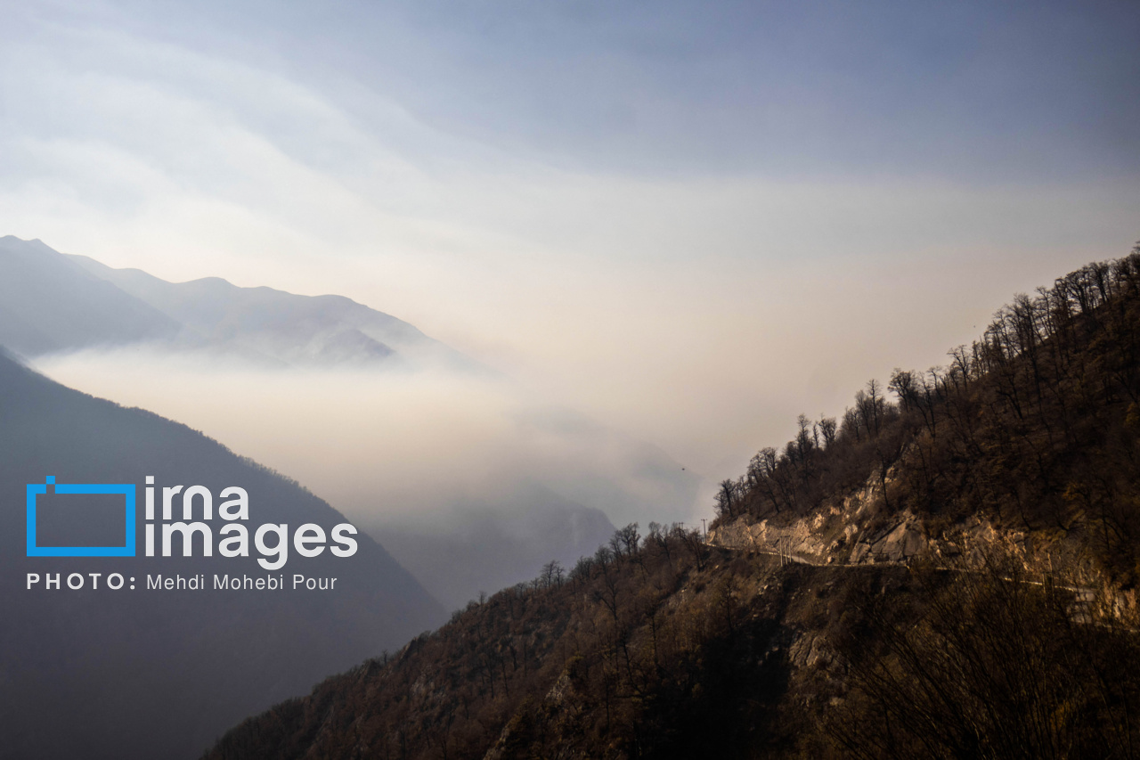 آتش‌سوزی اخیر حدود ۱۰ هکتار از اراضی جنگلی الیت چالوس را نابود کرد