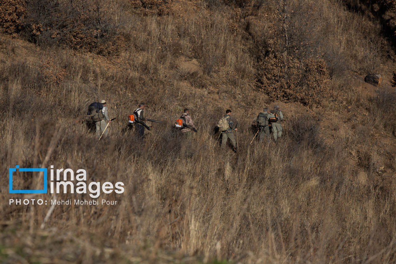 فرماندار چالوس: رصد شبانه‌روزی جنگل الیت ادامه دارد