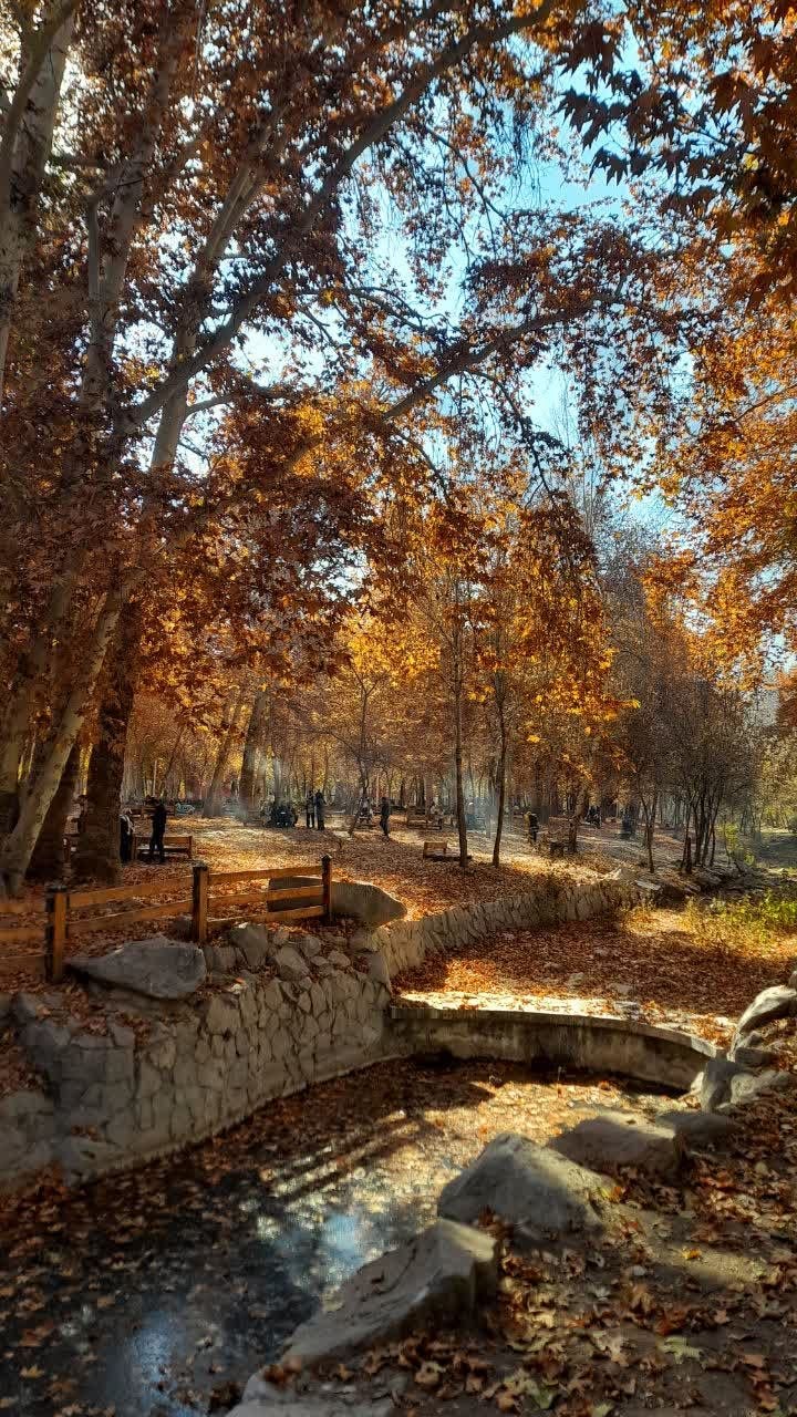  قشنگی های پاییز در باغ وکیل آباد مشهد  