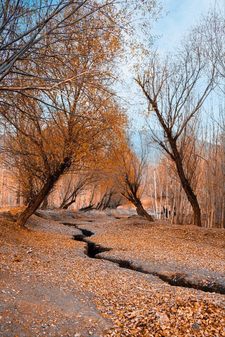 جلوه‌گری پاییز در طبیعت ارومیه