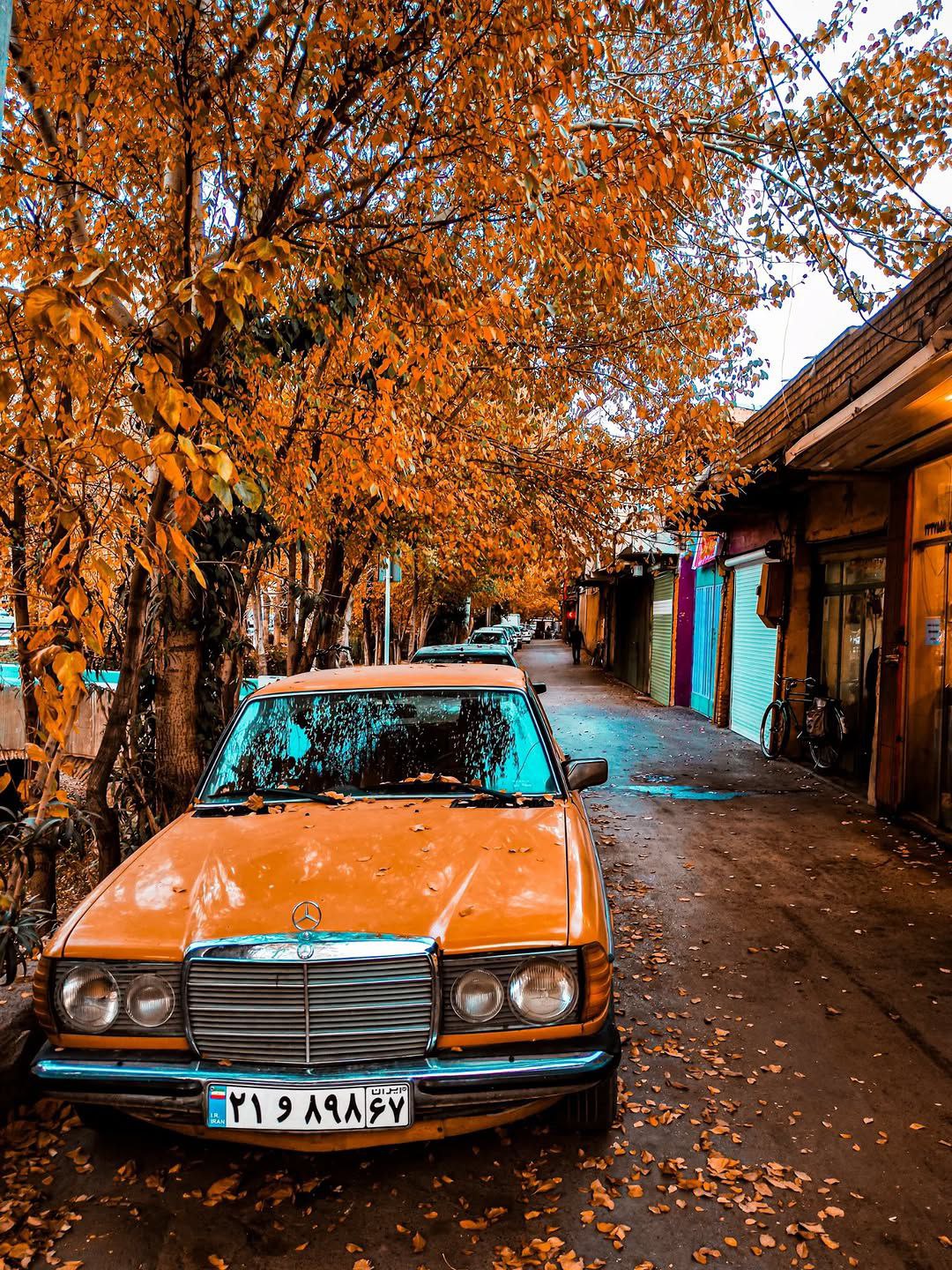  پاییز زیبای اصفهان 