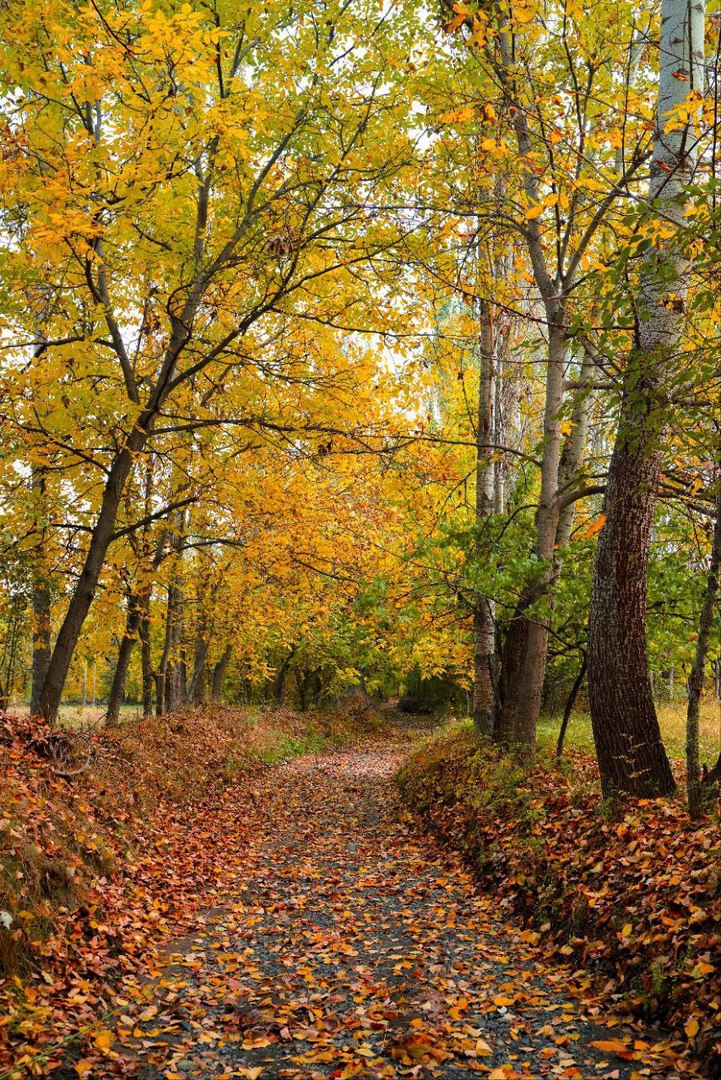 جلوه‌گری پاییز در طبیعت ارومیه