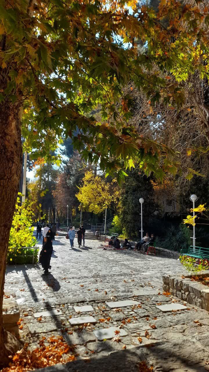  قشنگی های پاییز در باغ وکیل آباد مشهد  
