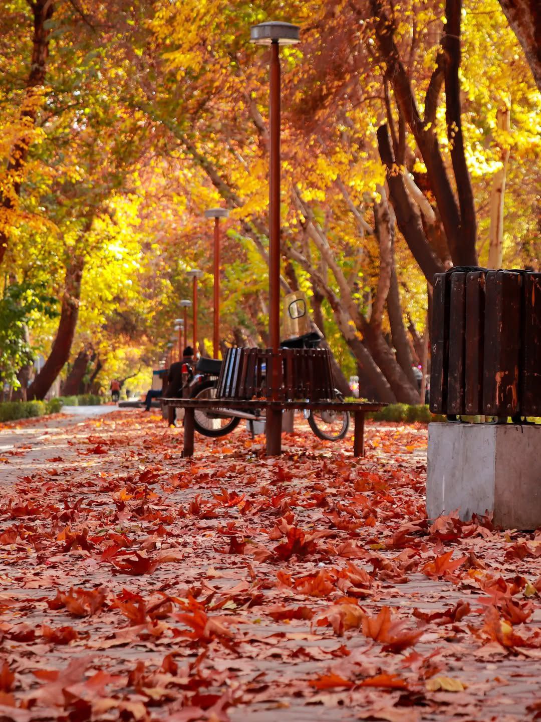  پاییز زیبای اصفهان 