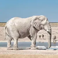 سرمقاله دنیای اقتصاد/ فیل سفید اقتصاد ایران