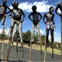 آیا راه رفتن با پایههای چوبی انرژی کمتری مصرف میکند؟