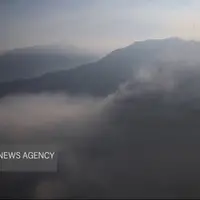 آتش‌سوزی به ۱۰ هکتار از جنگل‌های الیت چالوس خسارت زد