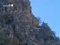 پرش‌های دیدنی کل و بزها در دل صخره‌های پاوه