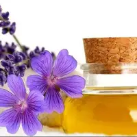 کنترل تب با روغن بنفشه