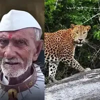  استفاده از قلاده‌های خاردار برای مقابله با حمله پلنگ‌ها!