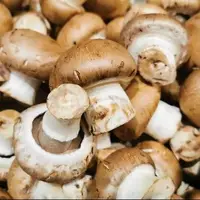 فواید قارچ برای قلب