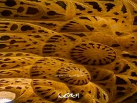 بخشی از شاهکارهای هنر معماری ایران!