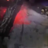 صداهای وحشتناک حیات وحش از جنگل‌های هیرکانی