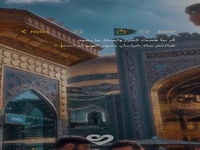 استوری/ ضامنم شاه خراسان بشود خوب‌تر است ...