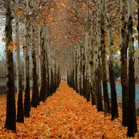 جلوه‌گری پاییز در طبیعت ارومیه