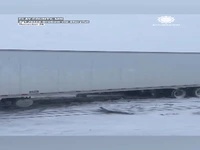 گیر کردن کامیون‌ها در برف و بوران شدید آمریکا