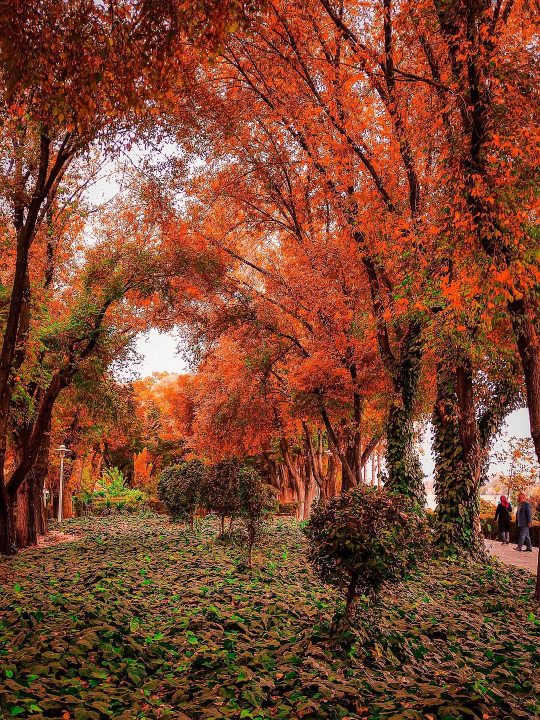  پاییز زیبای اصفهان 