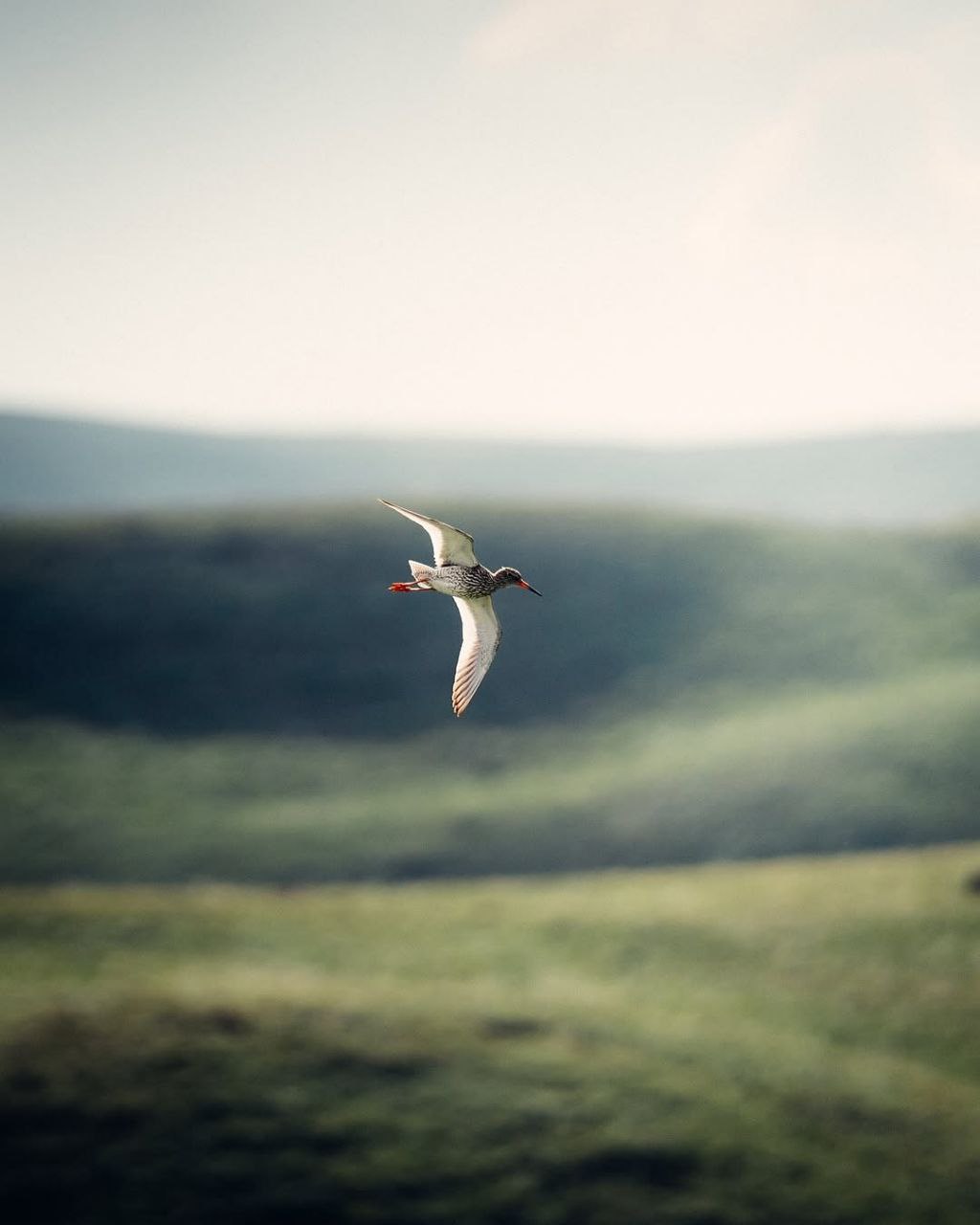 تصاویری از طبیعت زیبای قرقیزستان  