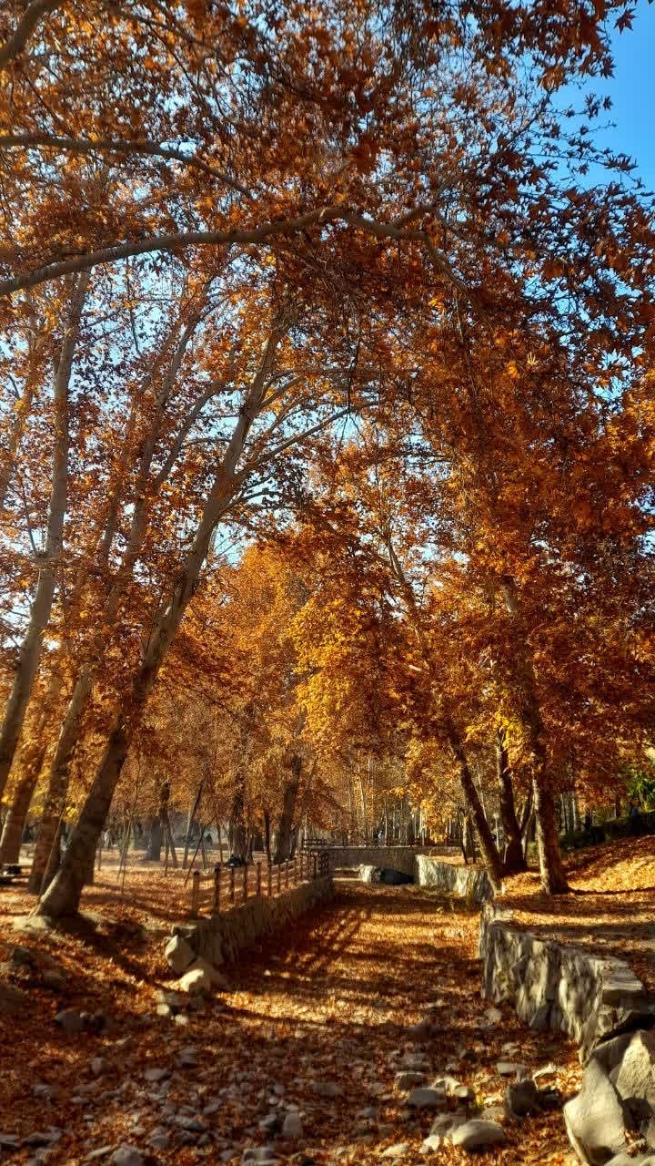  قشنگی های پاییز در باغ وکیل آباد مشهد  
