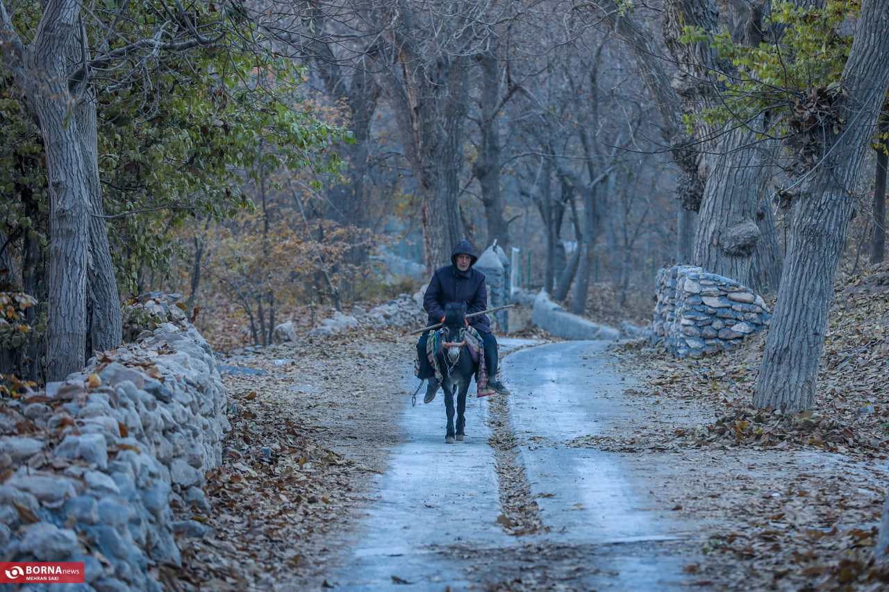 طبیعت زیبای پاییزی در روستای وفس