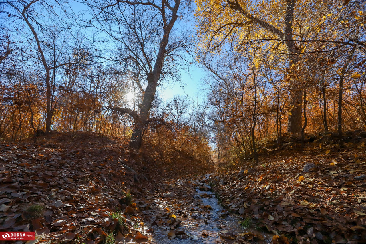 طبیعت زیبای پاییزی در روستای وفس