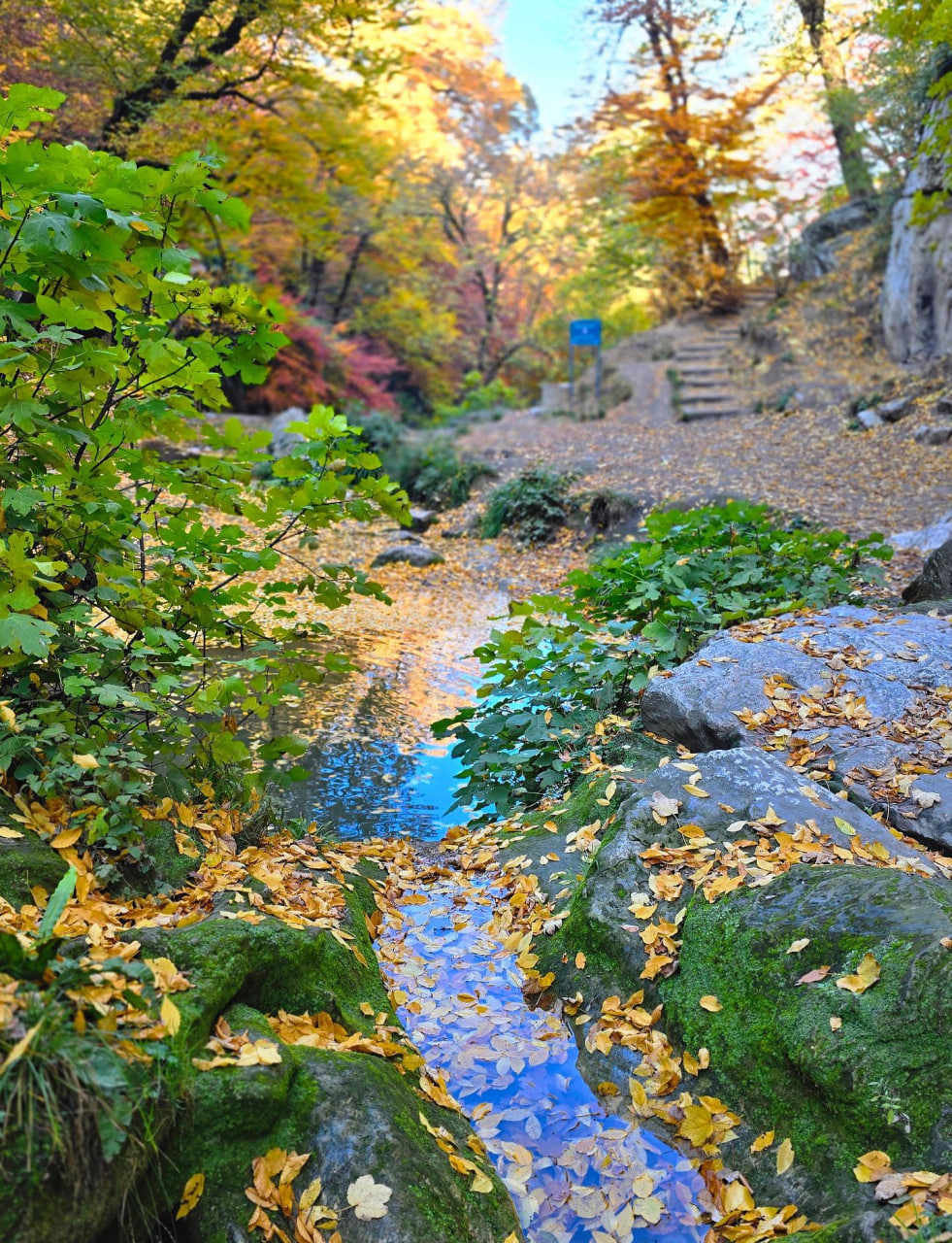  پاییز زیبای آبشار لوه استان گلستان 