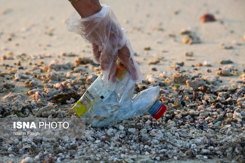 پاکسازی سواحل کیش