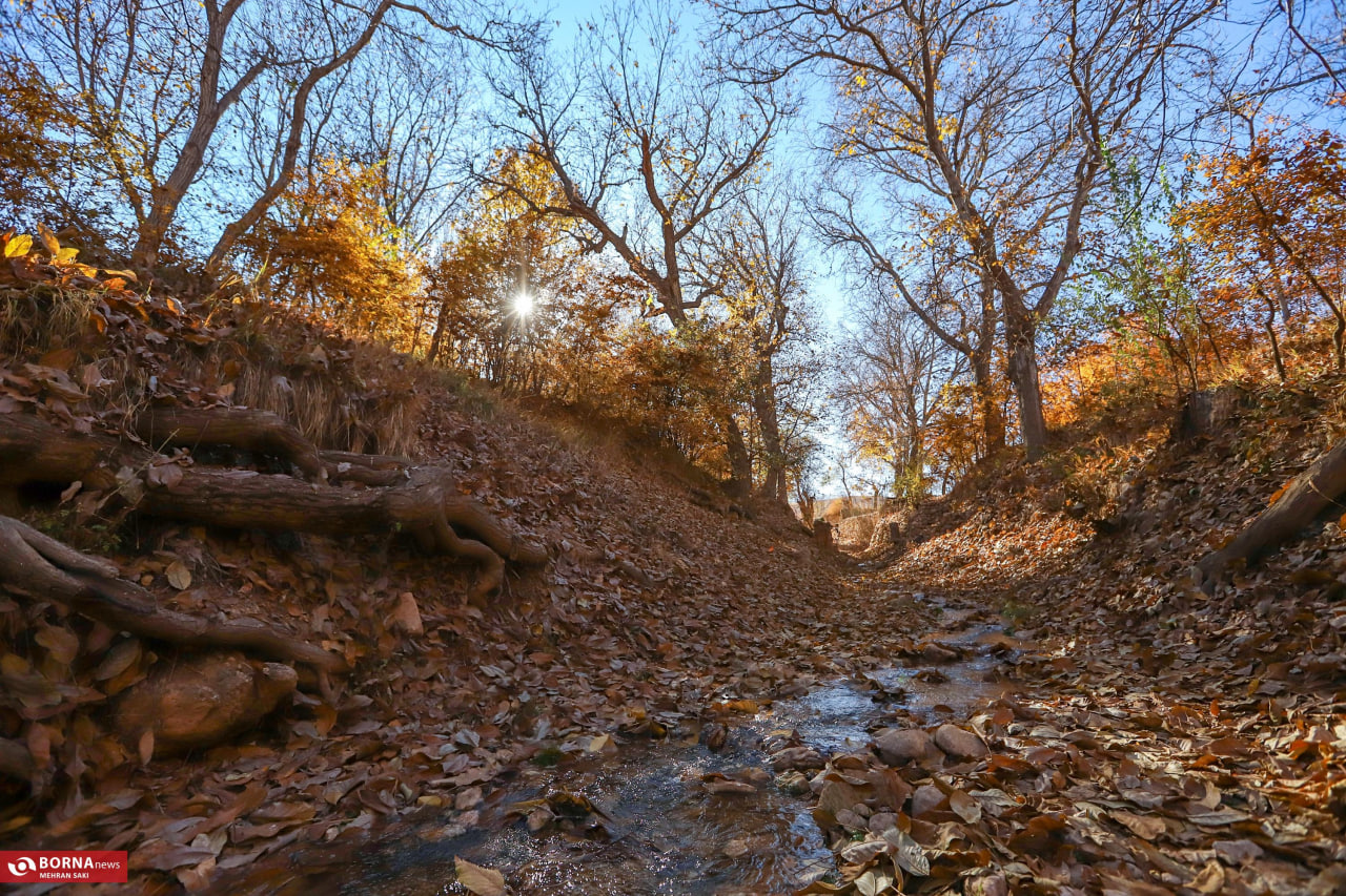 طبیعت زیبای پاییزی در روستای وفس