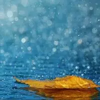 آغاز بارش باران در خراسان رضوی از هفته آینده