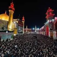 استوری/ حال و هوای حرم مطهر علوی 