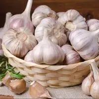 خوردن سیر خام ناشتا باعث لاغری می‌شود؟