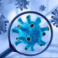 نقش احتمالیِ یک ویروس شایع در ابتلا به «لوپوس»