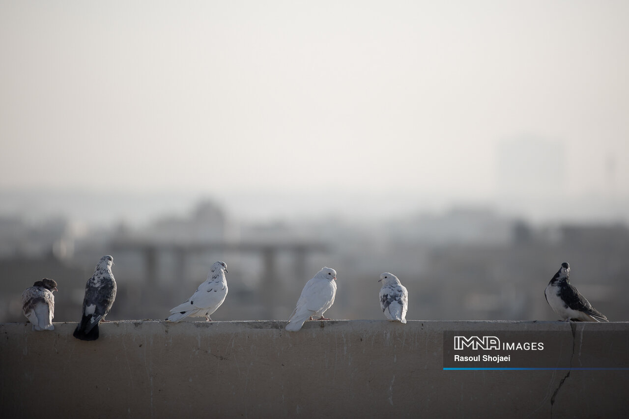 عکس/اصفهان زیر چتر آلودگی